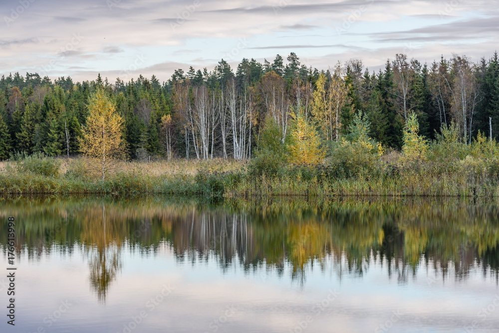 autumn colored trees on the shore of lake with reflections in water