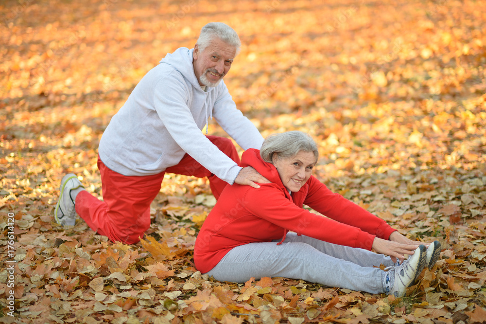 Fototapeta premium senior couple doing exercises