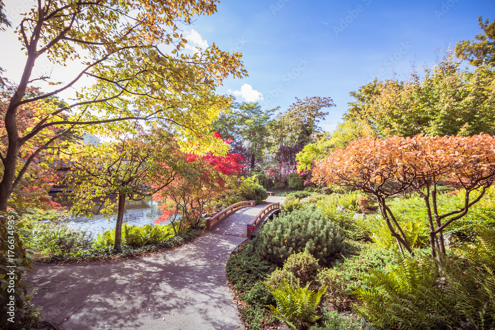 Fototapeta premium Setagaya Park im Herbst