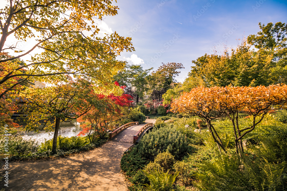 Fototapeta premium Setagaya Park im Herbst