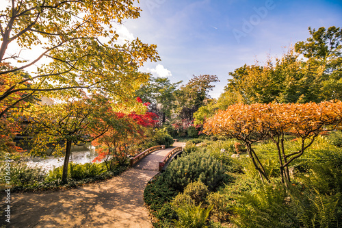 Setagaya Park im Herbst photo