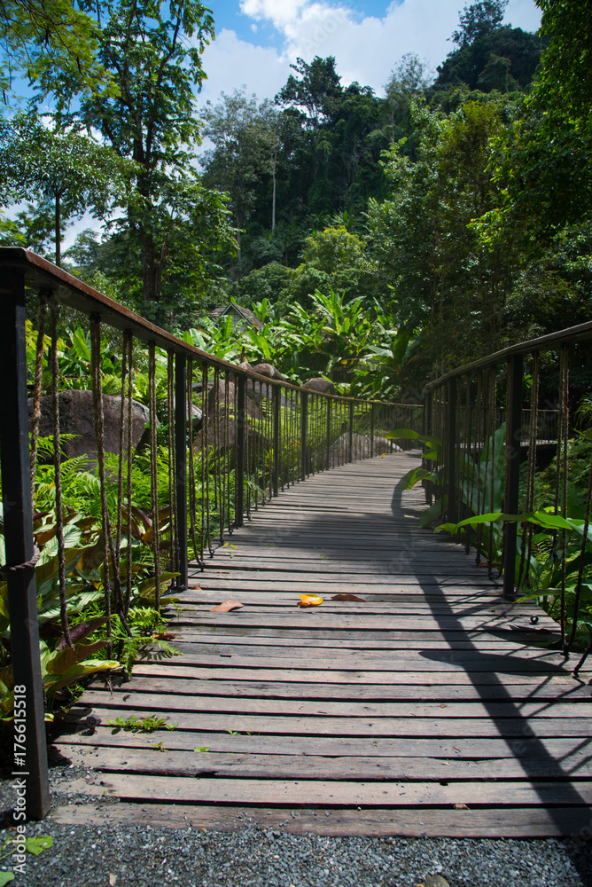 Wooden bridge path in to forest and stream, walking way in Chiangmai, Thailand
Wooden bridge path in to forest and stream, walking way in Chiangmai, Thailand