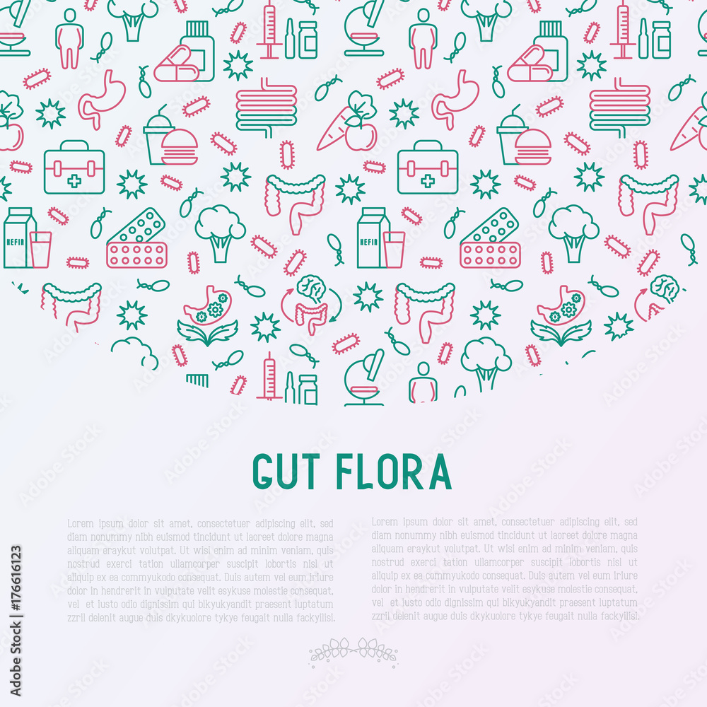 Gut flora concept with thin line icons: gut, bacteria, obesity, stomach, infection, depression, medicine. Vector illustration for medical survey or report.