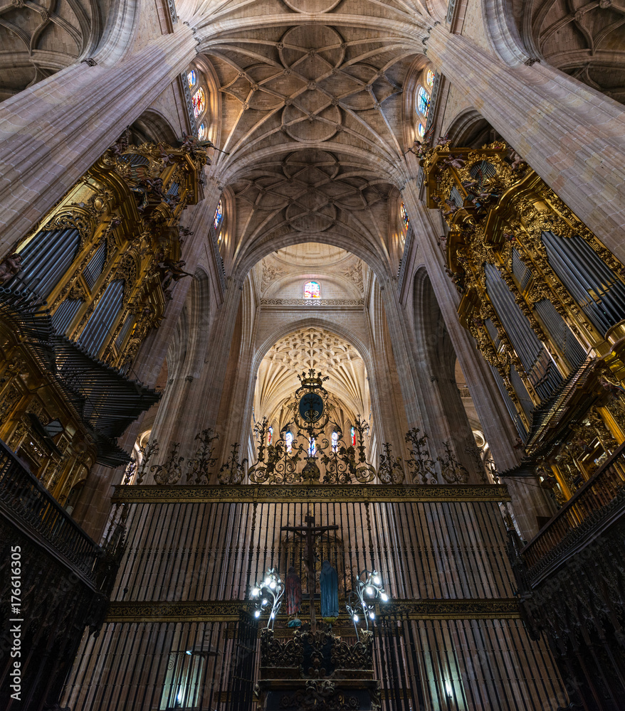 Arches and organs of Segovia Cathedral
