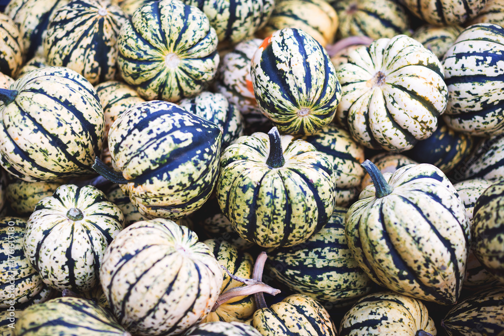 Farmers market - striped pumpkins