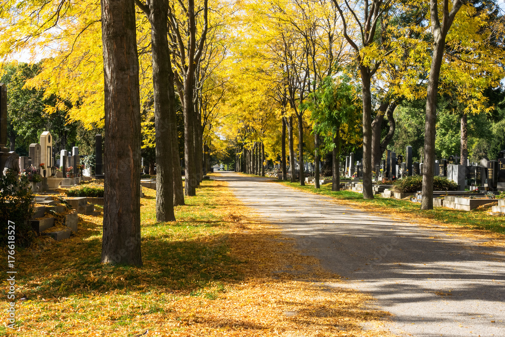 Fototapeta premium Friedhof im Herbst