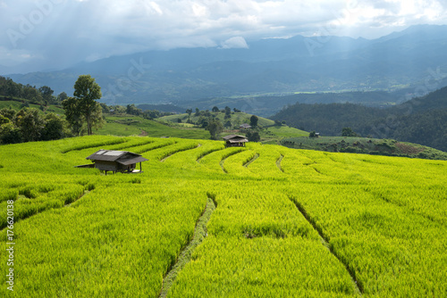 Beautiful green rice fields and bamboo hut on terraces in Thailand at Ban Pa Pong Pieng in Mae chaem, Chaing Mai.