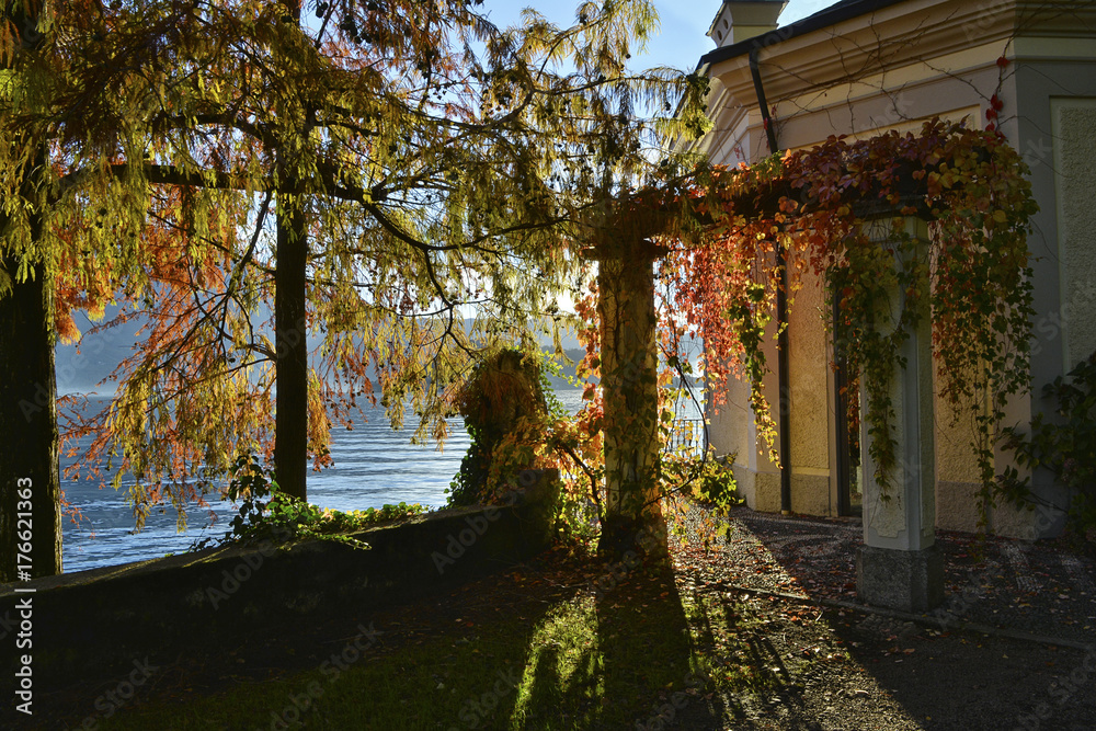 Lombardy, Lake Como, Tremezzo; autumn,backlight in the park