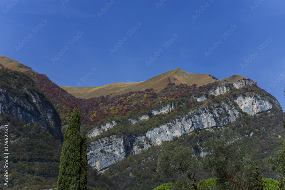 Italy, Lake Como; Tremezzo, woods in autumn.