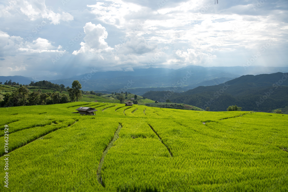 Beautiful green rice fields and bamboo hut on terraces in Thailand at Ban Pa Pong Pieng in Mae chaem, Chaing Mai. Beautiful green rice fields and bamboo hut on terraces in Thailand at Ban Pa Pong Pieng in Mae chaem, Chaing Mai.
