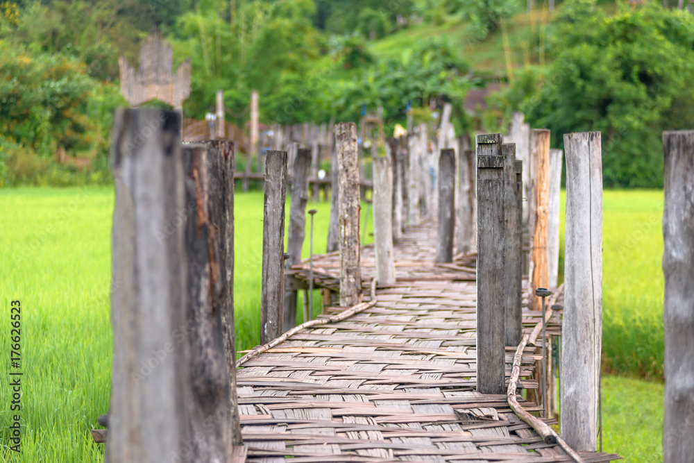 Bamboo bridge ( Su Tong Pe bridge) built with the faith of people and novice cross rice field at Suan Tham Phusama temple place of worship in Mae Hong Son province, Thailand. Bamboo bridge ( Su Tong Pe bridge) built with the faith of people and novice cross rice field at Suan Tham Phusama temple place of worship in Mae Hong Son province, Thailand.