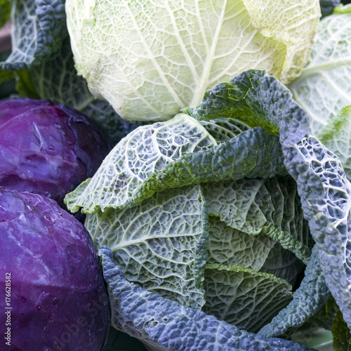 Gemüse, Kohlsorten photo