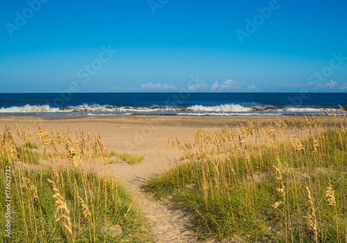 Fototapeta Naklejka Na Ścianę i Meble -  Sand dunes at the ocean cost
