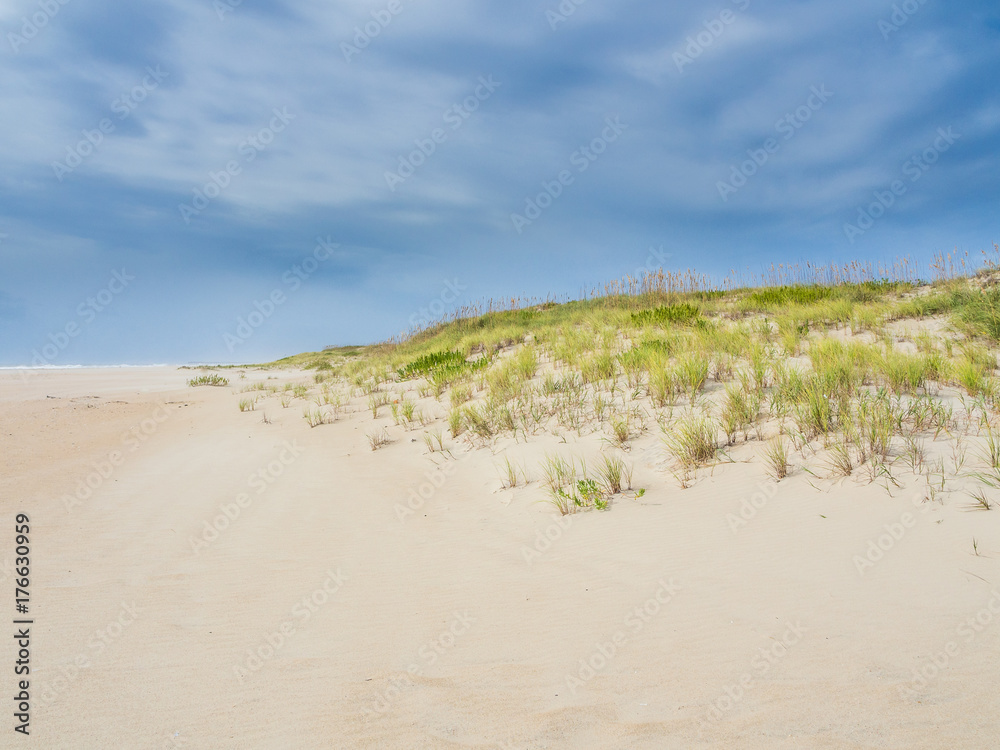 Sand dunes at the ocean cost Sand dunes at the ocean cost