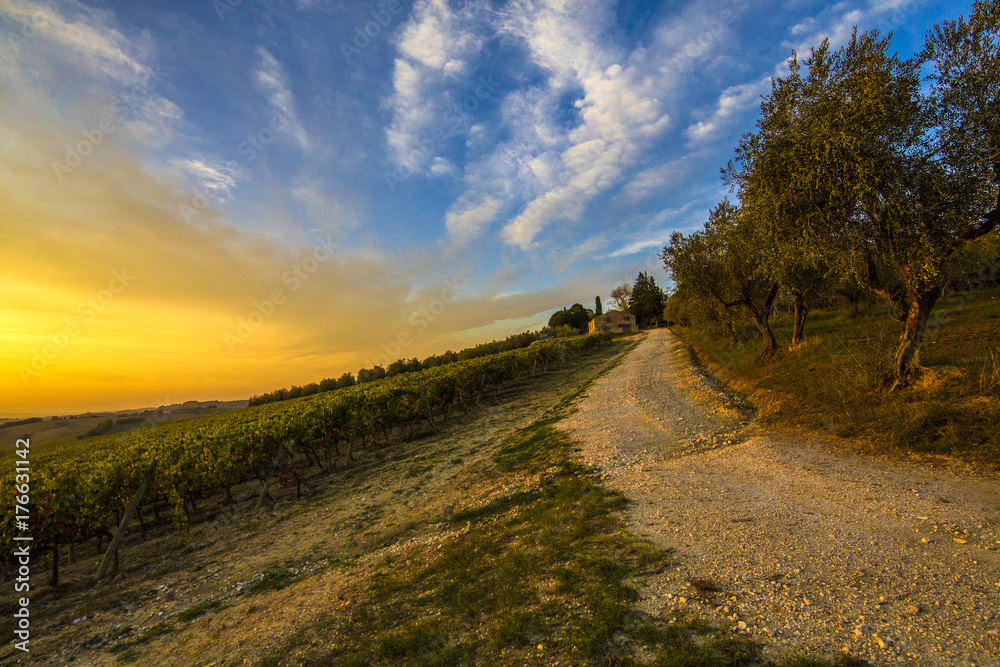 Toscana tramonto