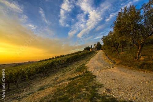 Toscana tramonto