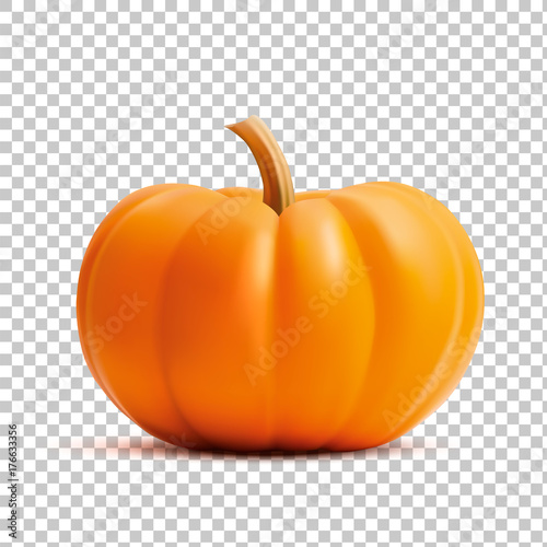 Obraz na płótnie Bright orange vector realistic pumpkin isolated on transparency grid background