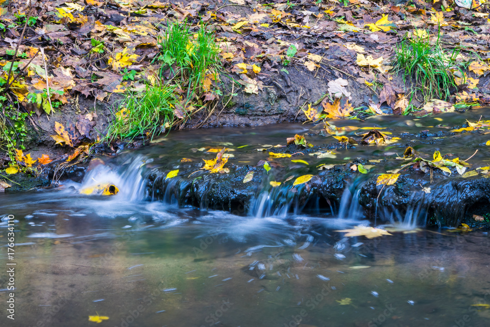 Obraz premium Small brook in autumn park