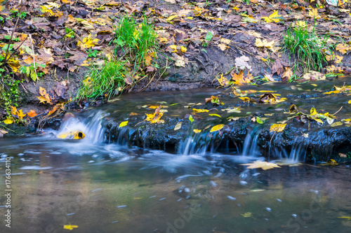 Fototapeta Naklejka Na Ścianę i Meble -  Small brook in autumn park