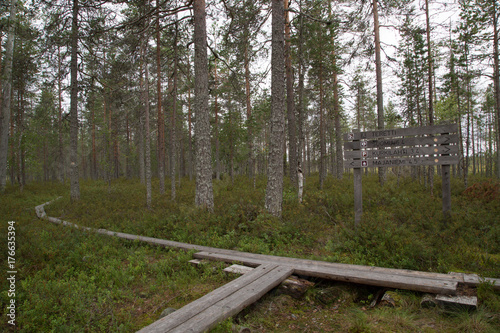 Merkkipaikka vaellusreitillä, Susitaival, Patvinsuo kansallispuisto, kesä  photo