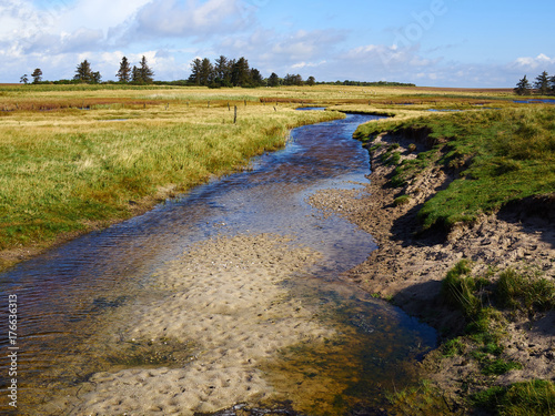 Small beautiful creek in a lush green area