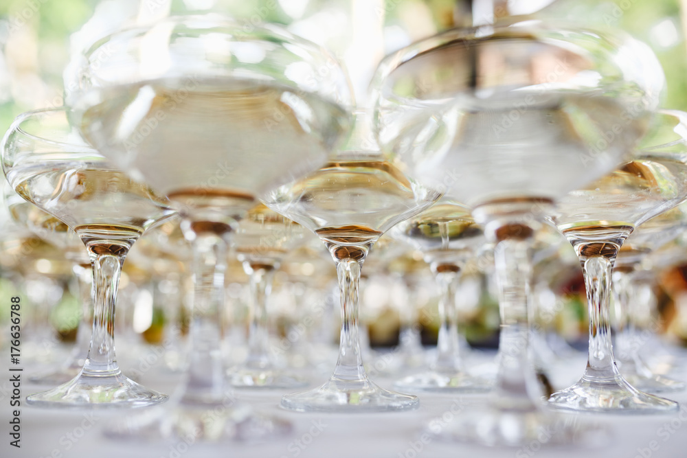 Champagne Glasses Champagne Glasses
