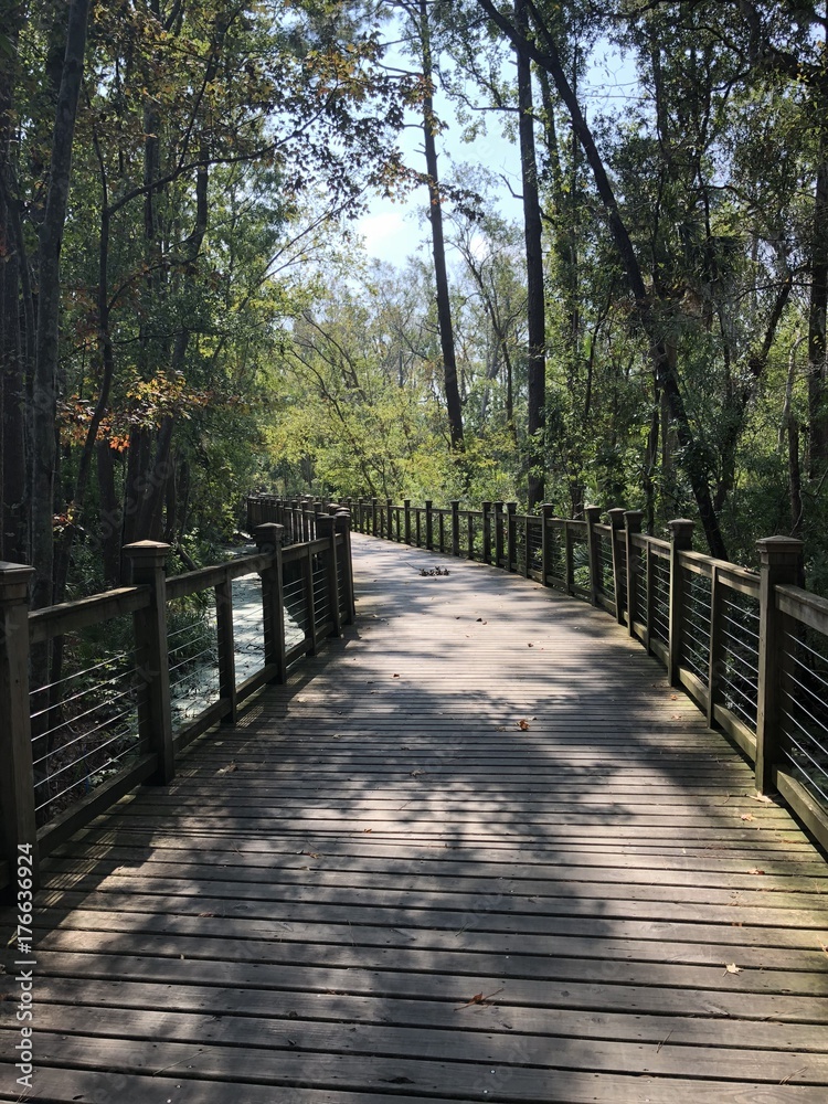 Forest bridge 