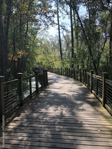 Forest bridge 