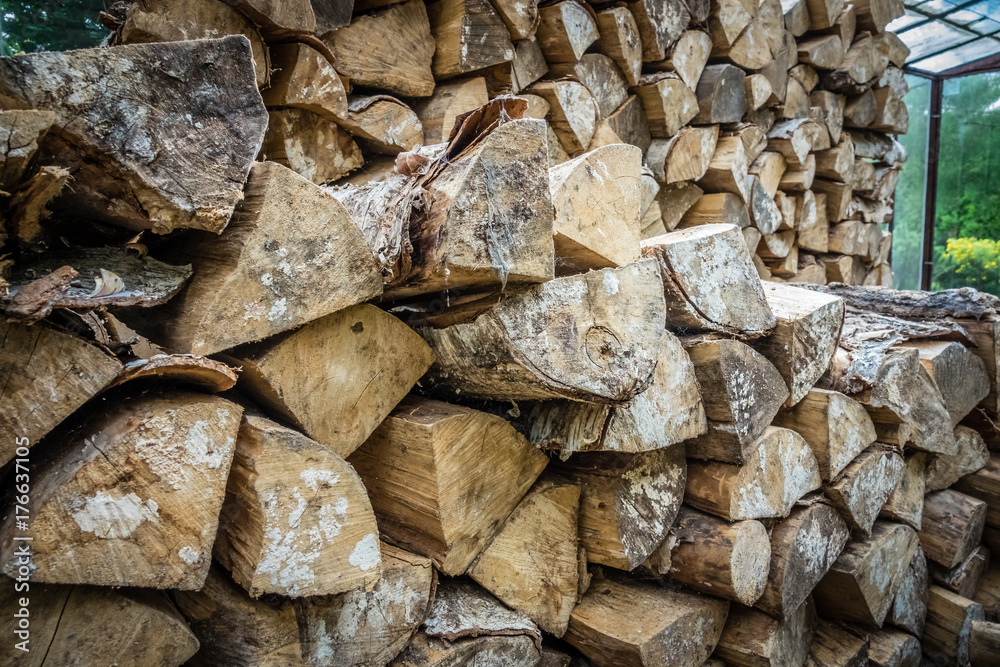 Firewood stacked in huge piles in hothouse Firewood stacked in huge piles in hothouse