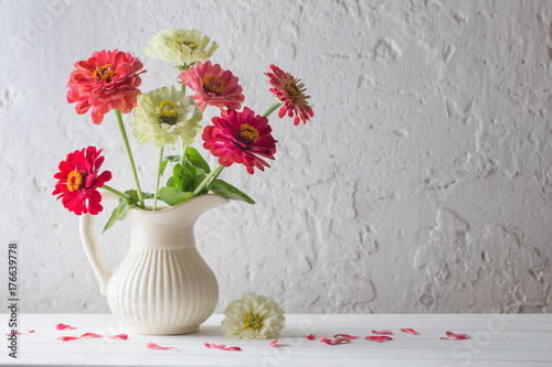 Billede på lærred zinnia flowers on white background