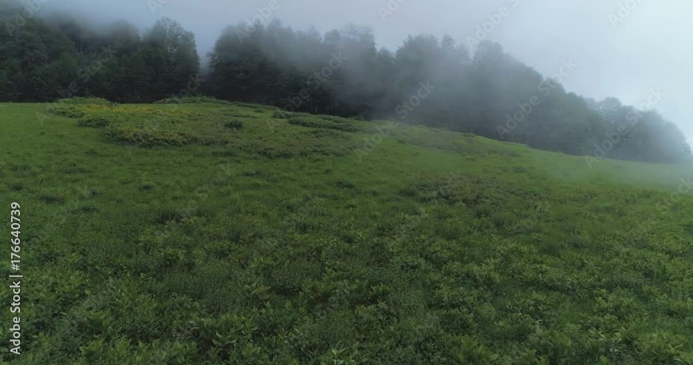 Misty woods, flying through the clouds.Aerial of beautiful forest trees and green meadows covered with clouds or mist. Landscape panorama, beauty in nature concept. Misty woods, flying through the clouds.Aerial of beautiful forest trees and green meadows covered with clouds or mist. Landscape panorama, beauty in nature concept.