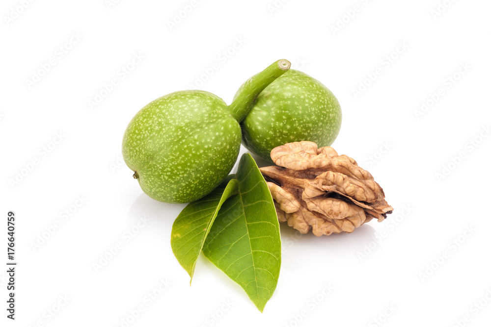 Young and old walnuts
