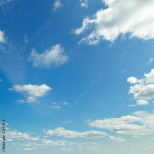 Fototapeta Naklejka Na Ścianę i Meble -  light clouds in the blue sky