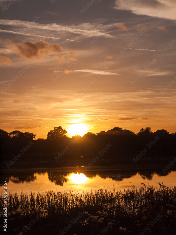 stunning bright autumn harvest sun set scene over lake water reflection reed silhouette