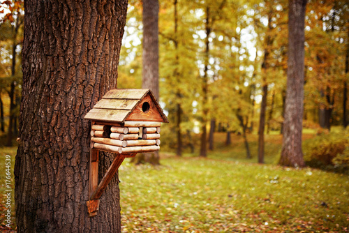 Fotomurale birdhouse in autumn park