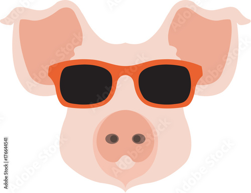 pig face head glasses vector illustration style flat 