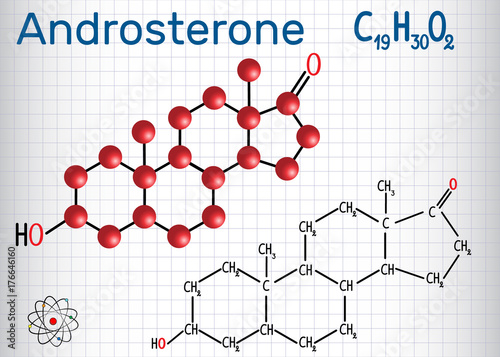 Androsterone (endogenous steroid hormone) - structural chemical formula and molecule model. Sheet of paper in a cage