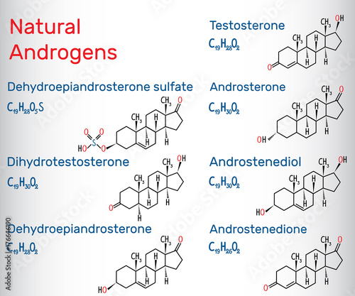 Natural androgens (steroid hormone) - structural chemical formula and molecule model photo