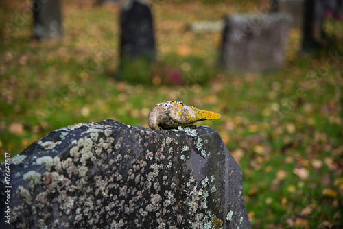 Autumn in the cemetary of Filipstad Sweden