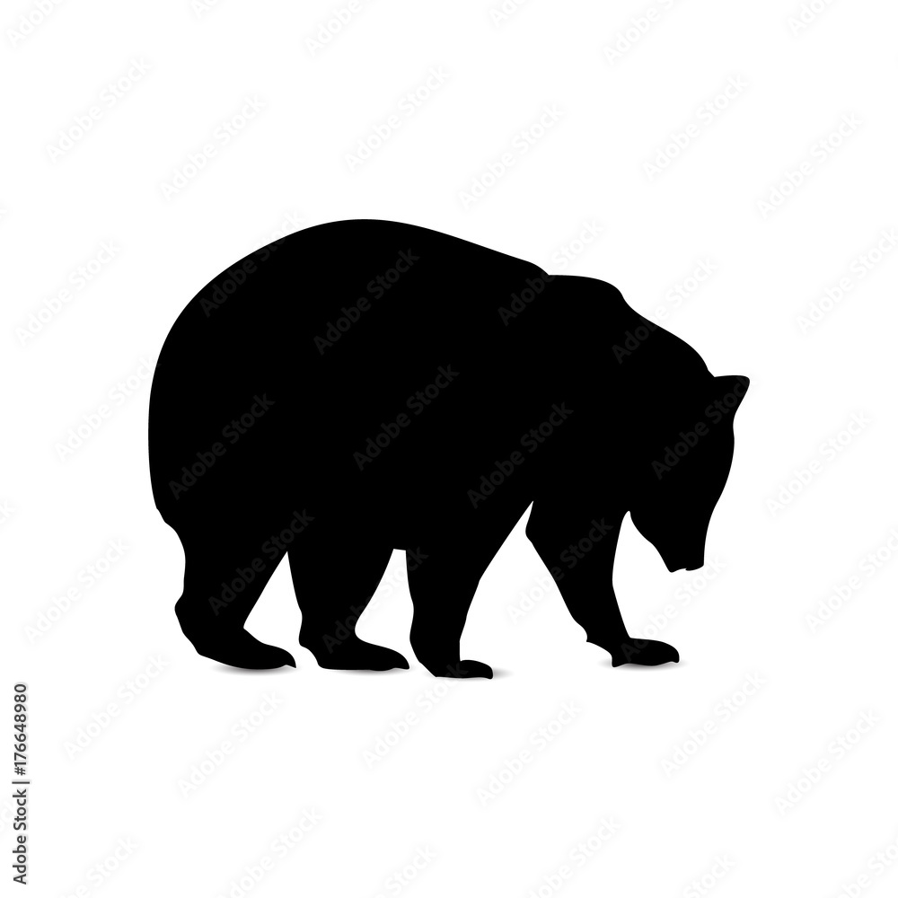 Fototapeta premium Silhouette of brown bear.