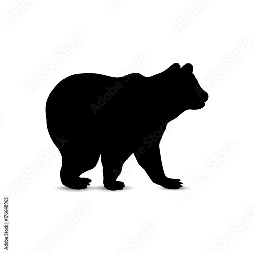 Silhouette of standing brown baby bear.