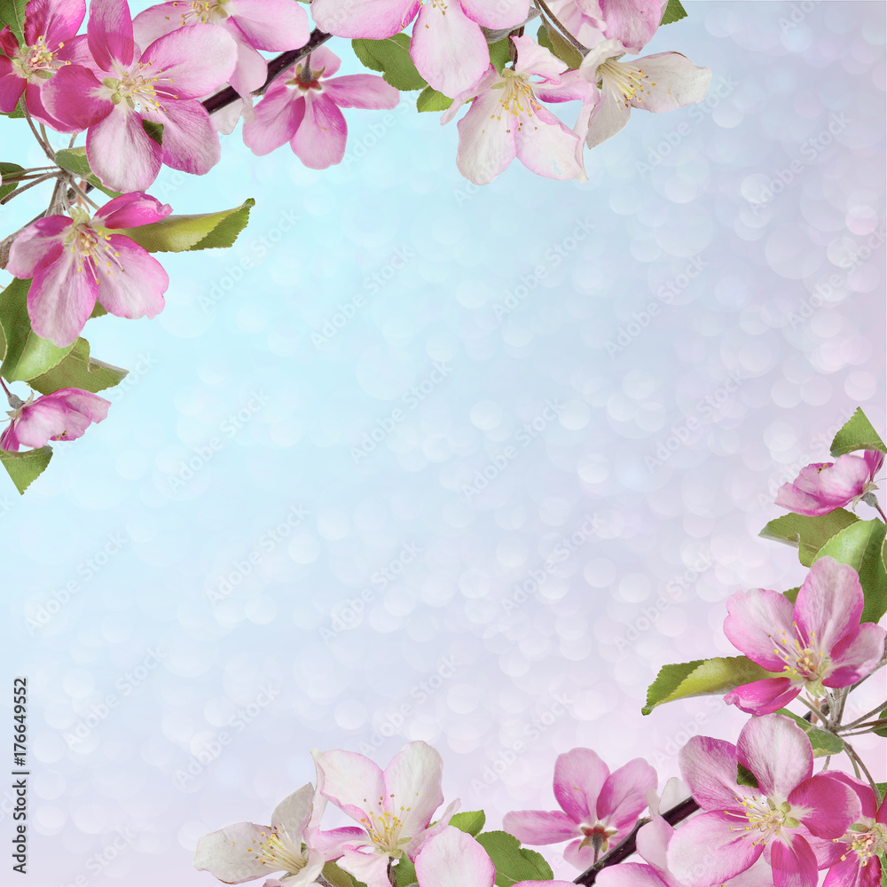 Pink cherry or apple blossom greeting/invitation card
