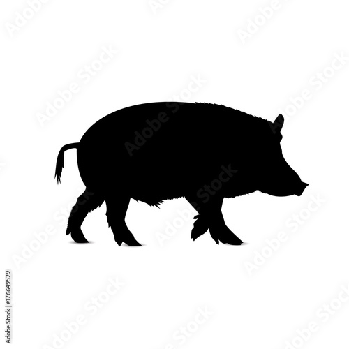 Silhouette of running boar.