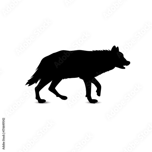 Silhouette of running wolf.