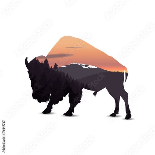 Silhouette of buffalo with panorama of mountains.