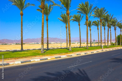 One of the street at Sharm