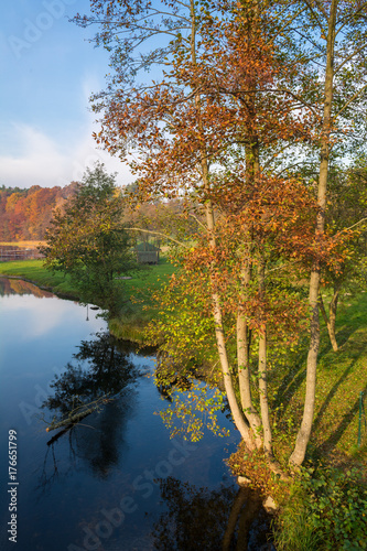 Fototapeta Naklejka Na Ścianę i Meble -  Autumn over the lake, fall trees reflected in water.