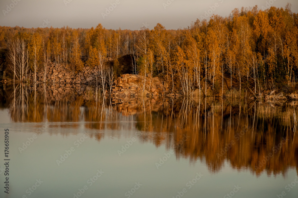 pond on the background of autumn forest