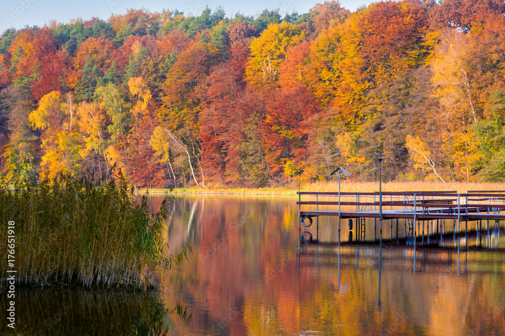 Obraz premium Autumn over the lake, fall trees reflected in water.