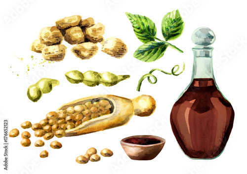 Soy products set with soybeans, meat, and sauce. Watercolor hand drawn illustration. photo